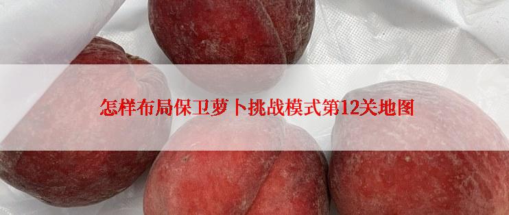  怎样布局保卫萝卜挑战模式第12关地图