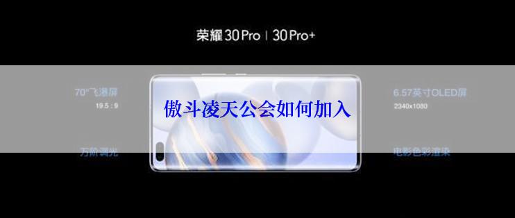 傲斗凌天公会如何加入