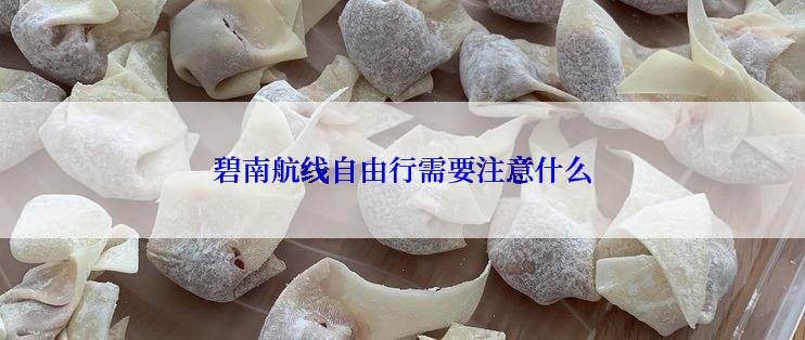 碧南航线自由行需要注意什么