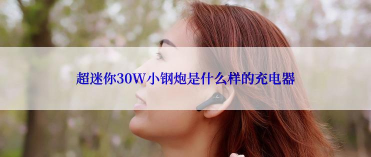 超迷你30W小钢炮是什么样的充电器