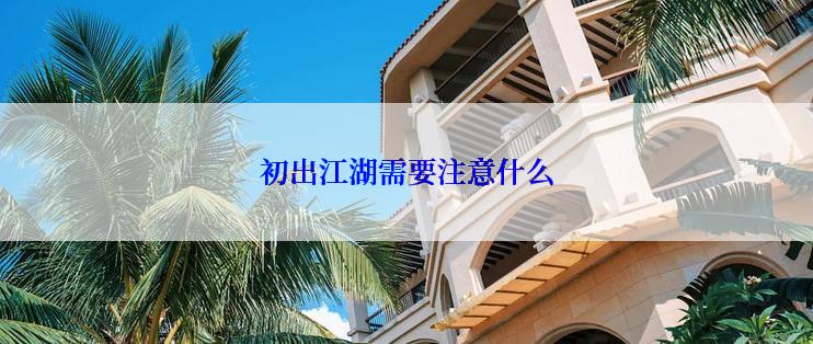 初出江湖需要注意什么