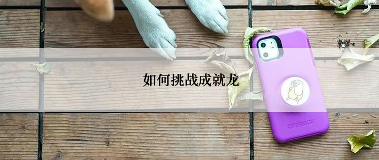  如何挑战成就龙