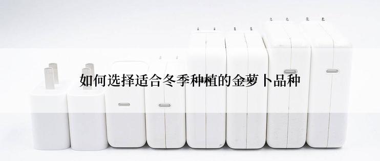 如何选择适合冬季种植的金萝卜品种