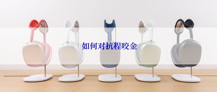  如何对抗程咬金