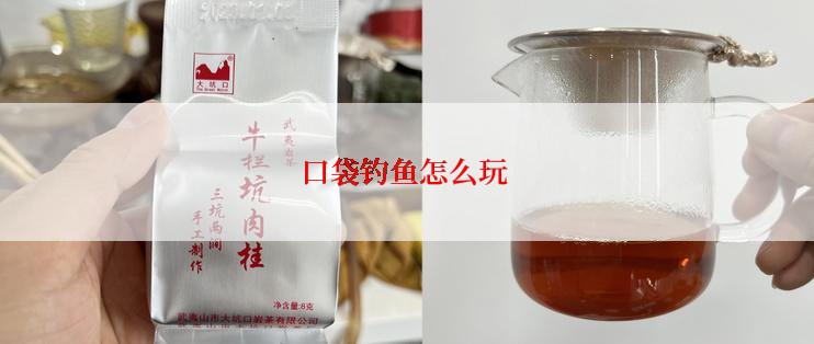 口袋钓鱼怎么玩