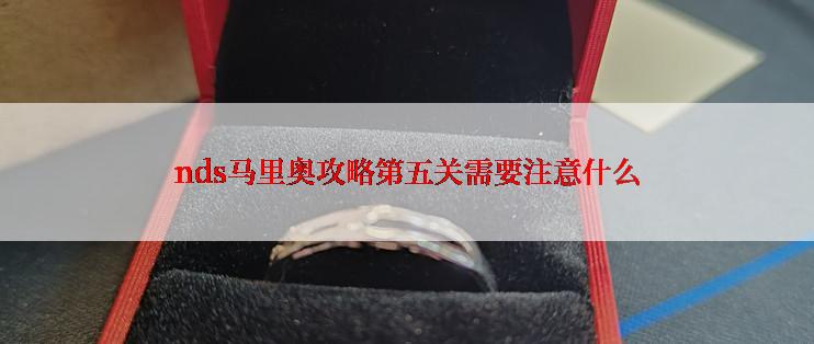 nds马里奥攻略第五关需要注意什么