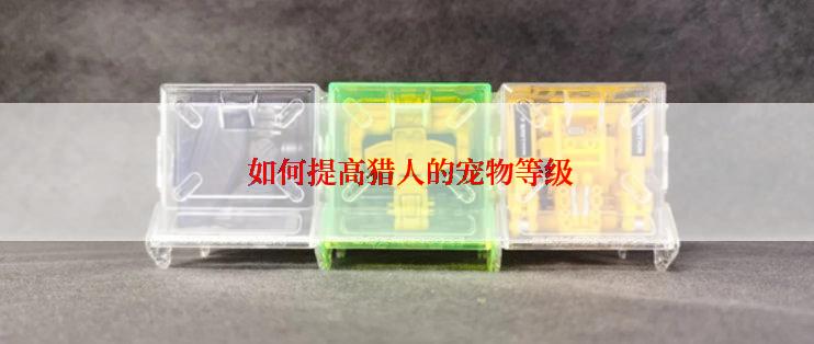  如何提高猎人的宠物等级