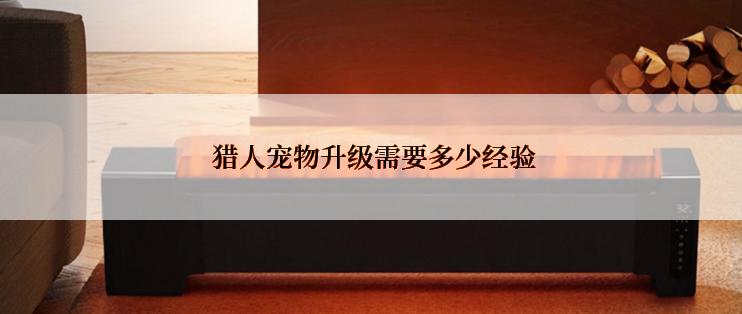  猎人宠物升级需要多少经验