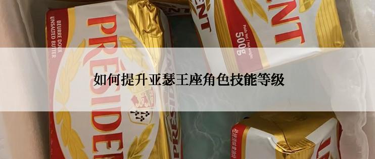  如何提升亚瑟王座角色技能等级