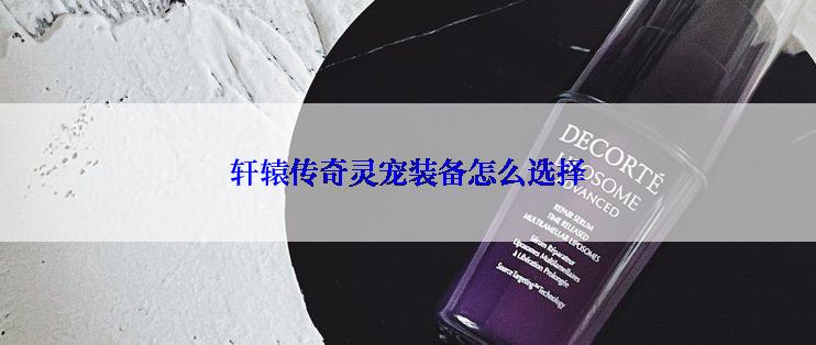 轩辕传奇灵宠装备怎么选择