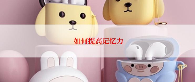  如何提高记忆力