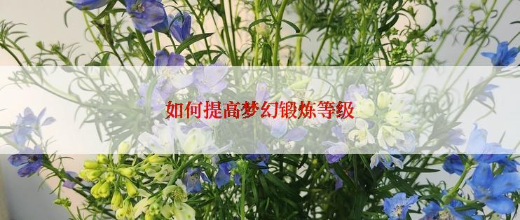 如何提高梦幻锻炼等级