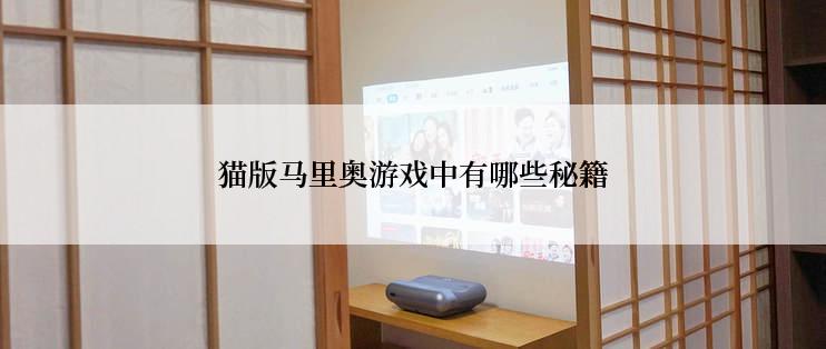 猫版马里奥游戏中有哪些秘籍