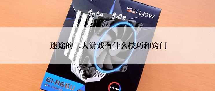  迷途的二人游戏有什么技巧和窍门
