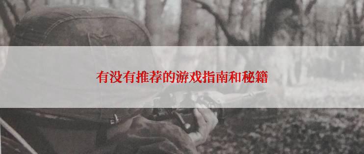 有没有推荐的游戏指南和秘籍