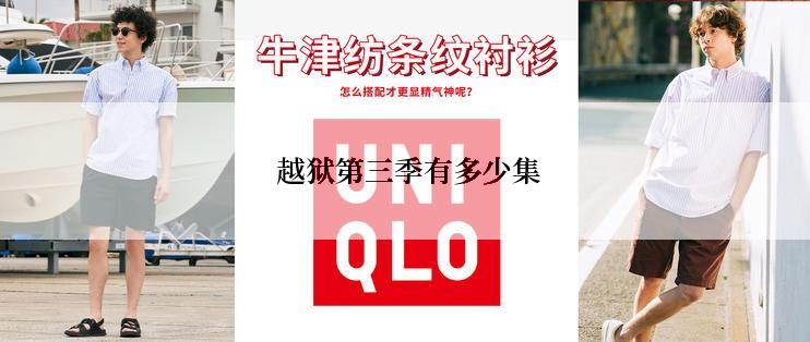  越狱第三季有多少集