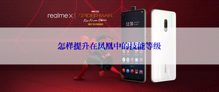 怎样提升在凤凰中的技能等级