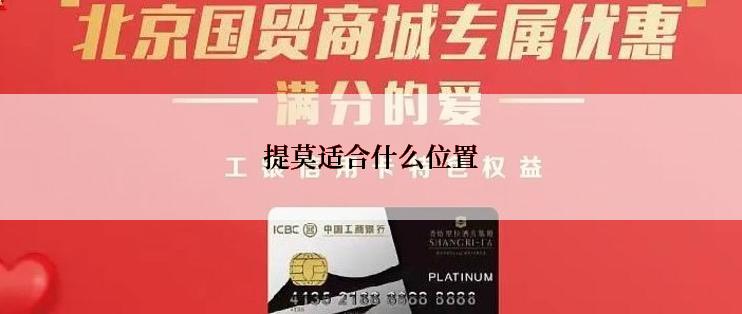 提莫适合什么位置