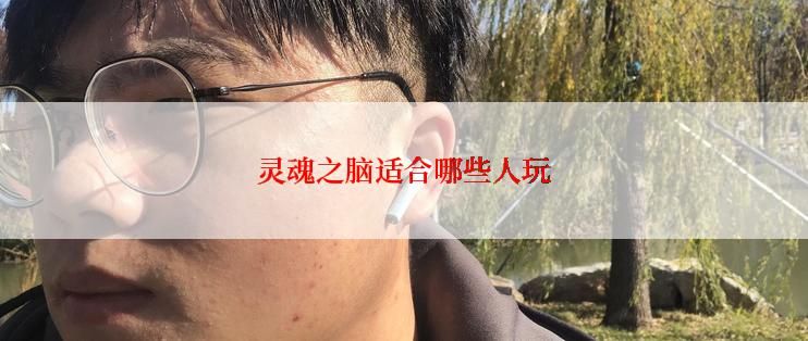 灵魂之脑适合哪些人玩