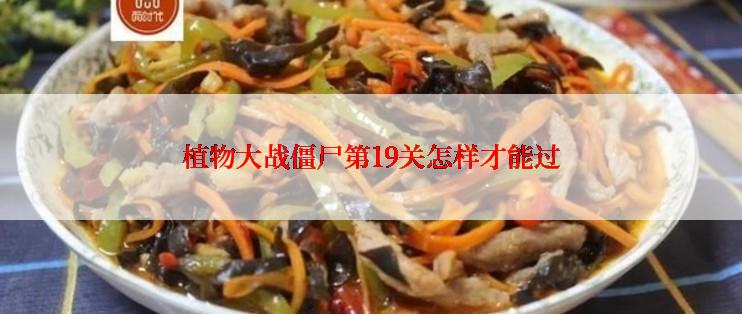 植物大战僵尸第19关怎样才能过