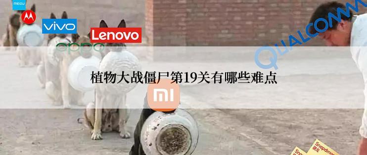 植物大战僵尸第19关有哪些难点