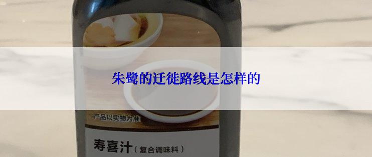 朱鹭的迁徙路线是怎样的