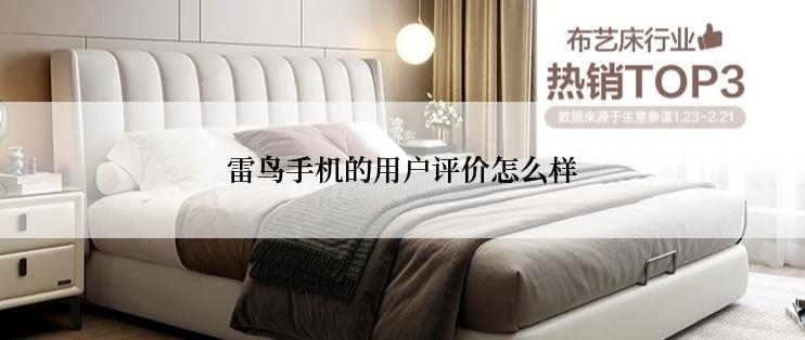 雷鸟手机的用户评价怎么样