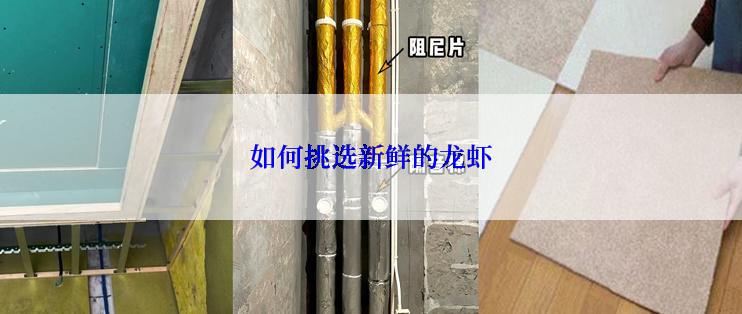 如何挑选新鲜的龙虾