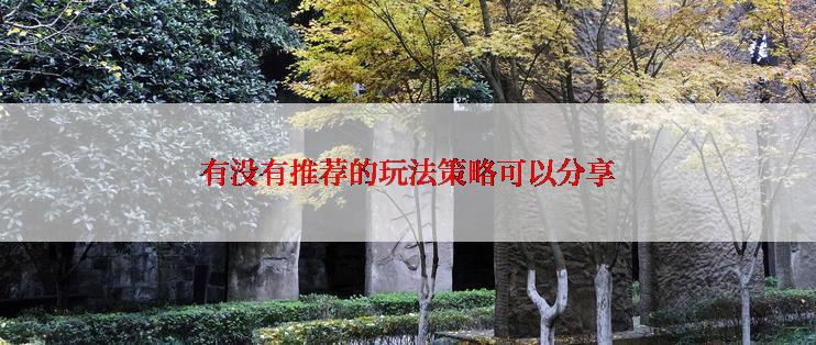 有没有推荐的玩法策略可以分享