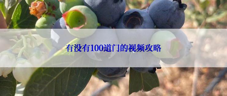 有没有100道门的视频攻略