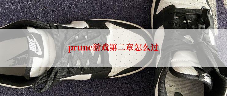 prune游戏第二章怎么过