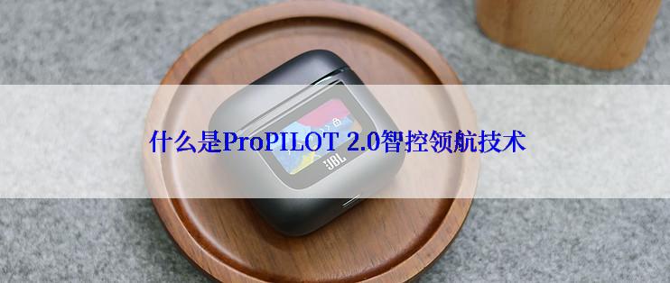 什么是ProPILOT 2.0智控领航技术