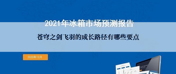 苍穹之剑飞羽的成长路径有哪些要点
