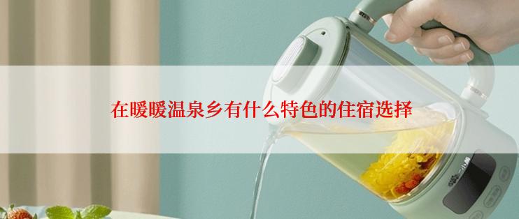  在暖暖温泉乡有什么特色的住宿选择