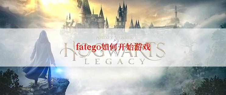 fatego如何开始游戏
