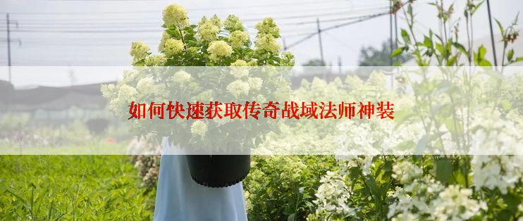 如何快速获取传奇战域法师神装