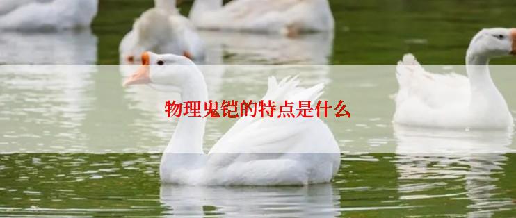 物理鬼铠的特点是什么