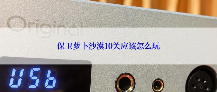 保卫萝卜沙漠10关应该怎么玩