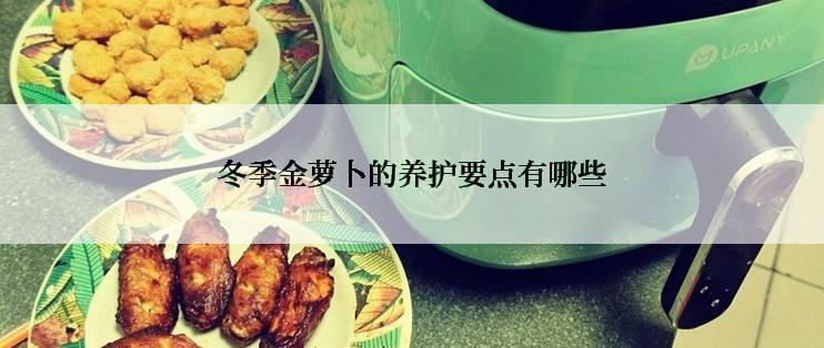 冬季金萝卜的养护要点有哪些