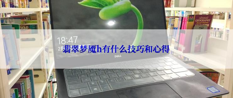 翡翠梦魇h有什么技巧和心得