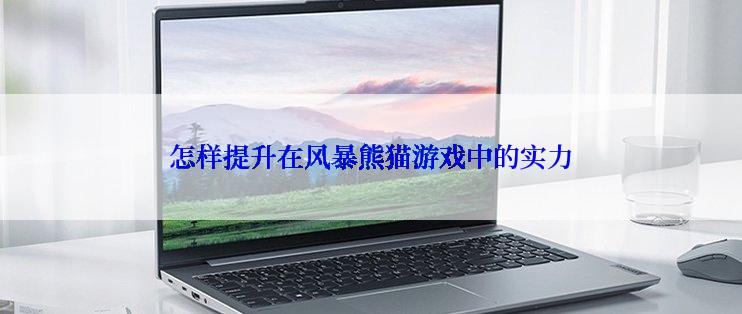 怎样提升在风暴熊猫游戏中的实力