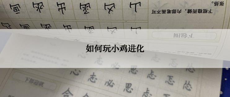 如何玩小鸡进化