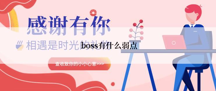  boss有什么弱点