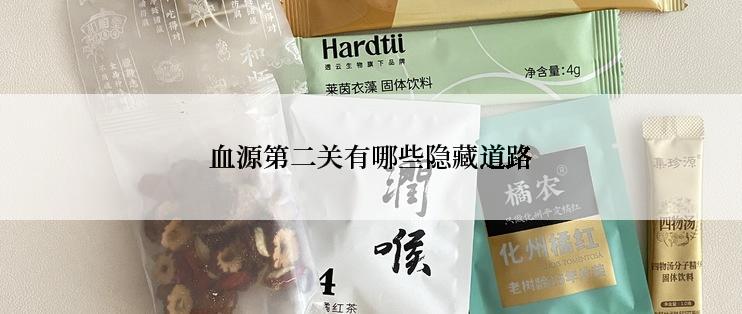 血源第二关有哪些隐藏道路