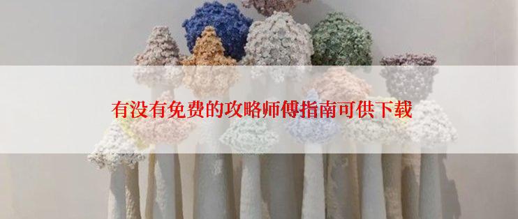  有没有免费的攻略师傅指南可供下载