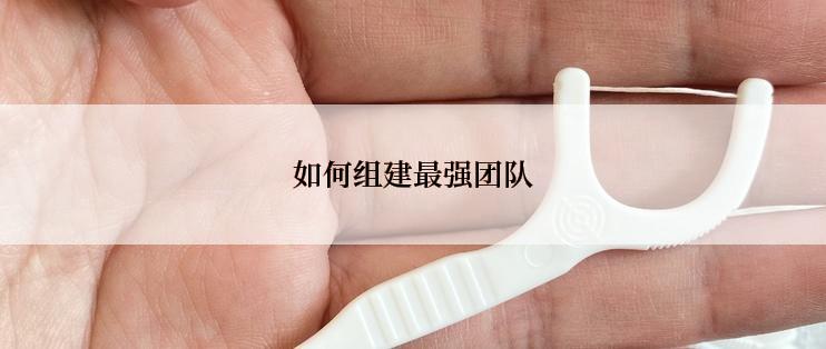 如何组建最强团队