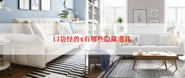 口袋怪兽x有哪些隐藏道具