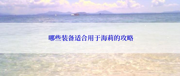  哪些装备适合用于海莉的攻略