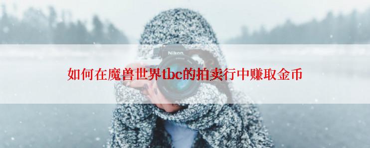 如何在魔兽世界tbc的拍卖行中赚取金币