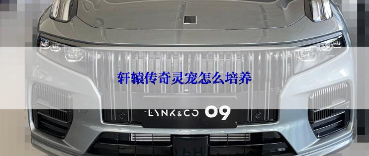 轩辕传奇灵宠怎么培养